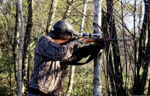 hunting